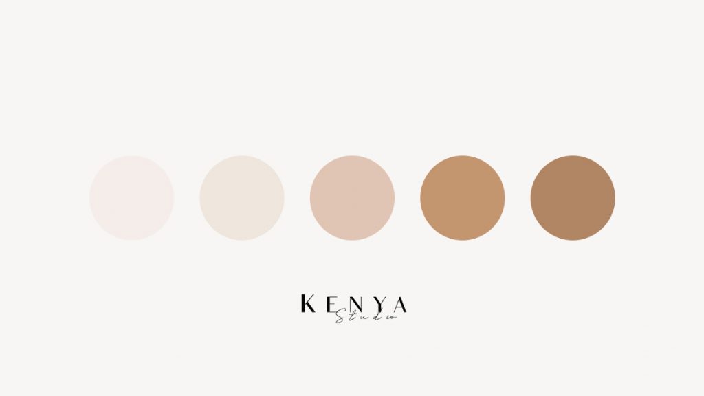 paleta de colores