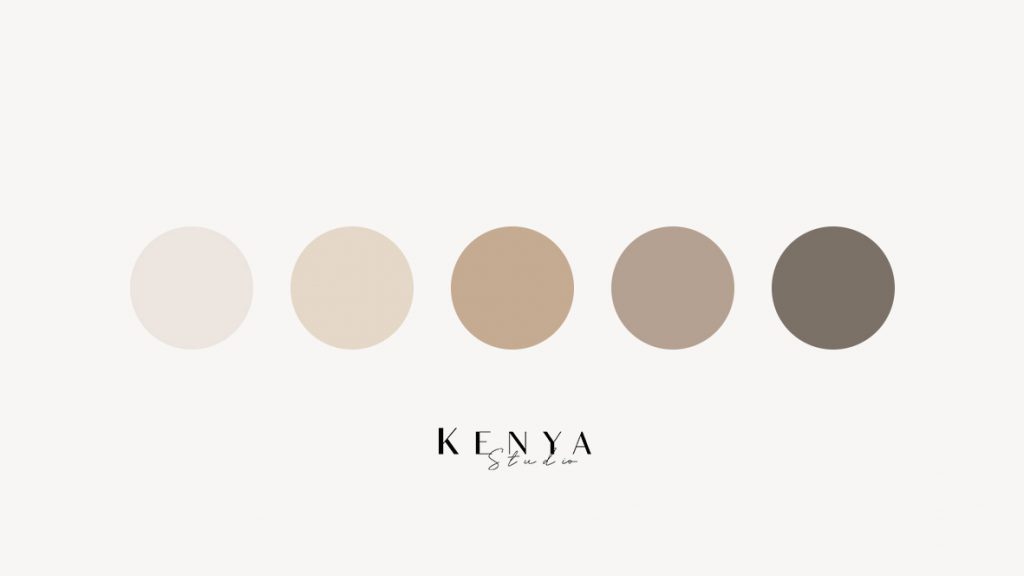 paleta de colores